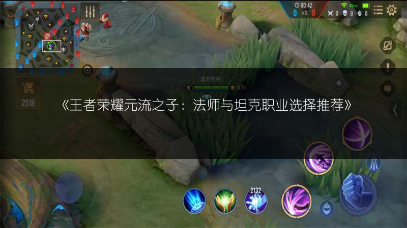 《王者荣耀元流之子:法师与坦克职业选择推荐》