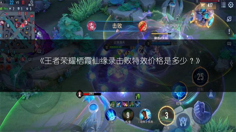 《王者荣耀栖霞仙缘录拖尾特效价格是多少?》