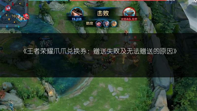 《王者荣耀爪爪兑换券：赠送失败及无法赠送的原因》