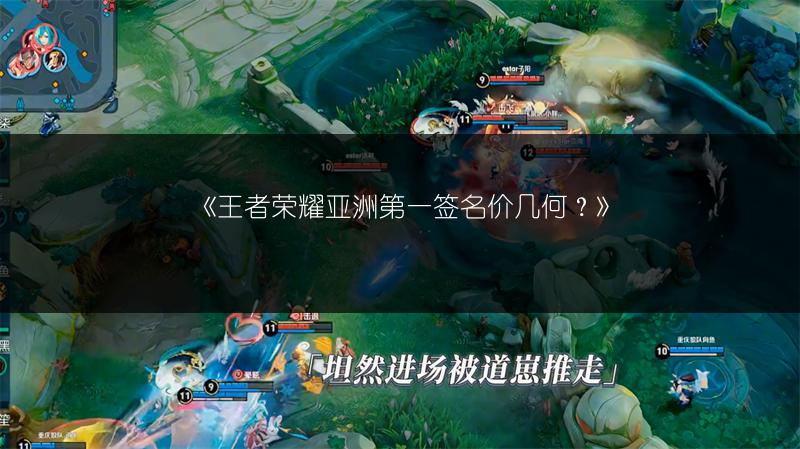 《王者荣耀亚洲第一签名价几何?》