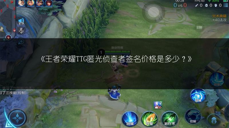 《王者荣耀TTG匿光侦查者签名价格是多少?》