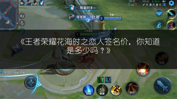 《王者荣耀花海时之恋人签名价,你知道是多少吗?》