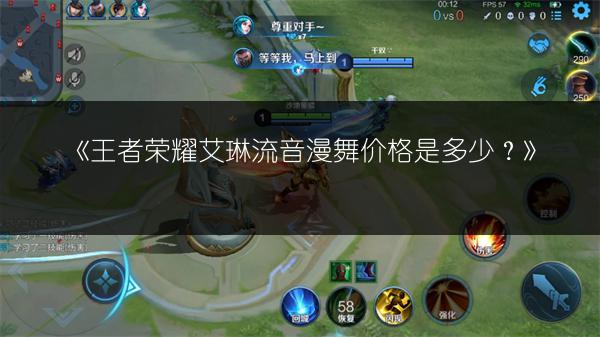 《王者荣耀艾琳流音漫舞价格是多少?》