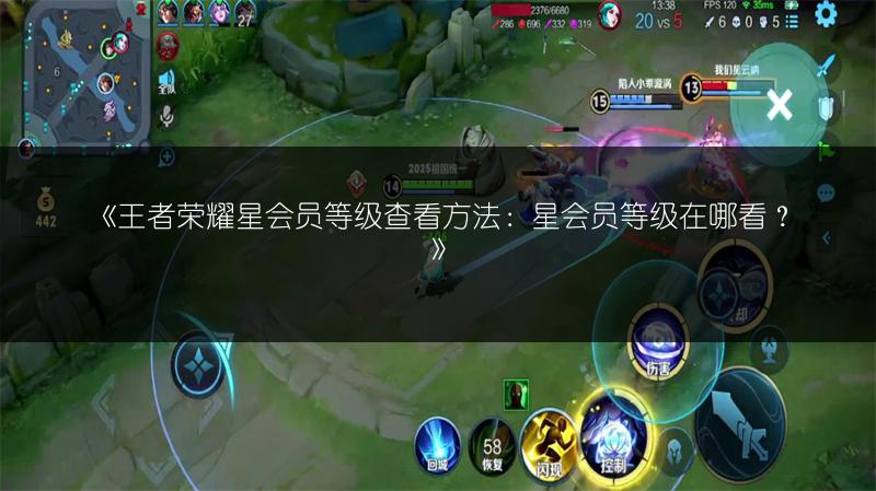 《王者荣耀星会员等级查看方法：星会员等级在哪看？》