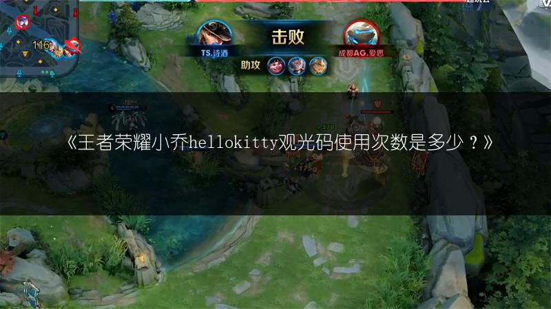《王者荣耀小乔hellokitty观光码使用次数是多少?》