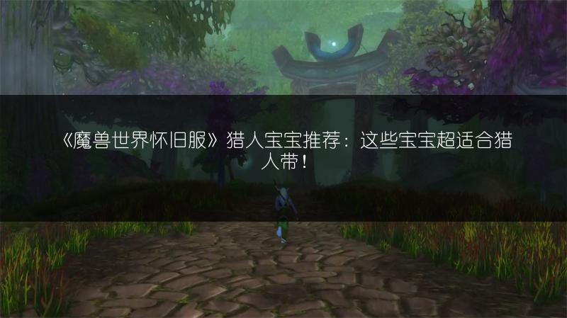 《魔兽世界怀旧服》猎人宝宝推荐：这些宝宝超适合猎人带！
