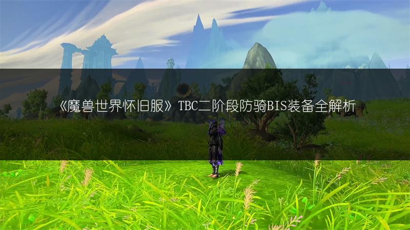 《魔兽世界怀旧服》TBC二阶段防骑BIS装备全解析