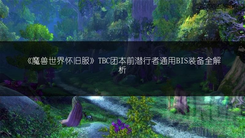 《魔兽世界怀旧服》TBC团本前潜行者通用BIS装备全解析