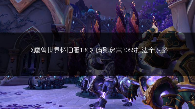 《魔兽世界怀旧服TBC》暗影迷宫BOSS打法全攻略