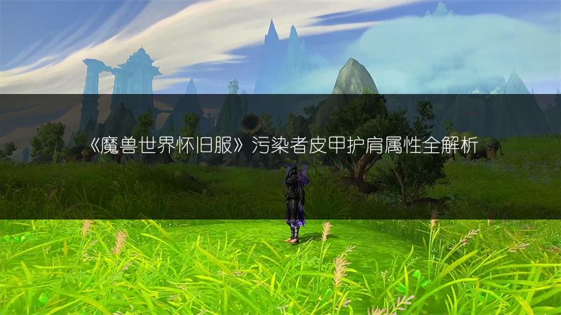 《魔兽世界怀旧服》污染者皮甲护肩属性全解析