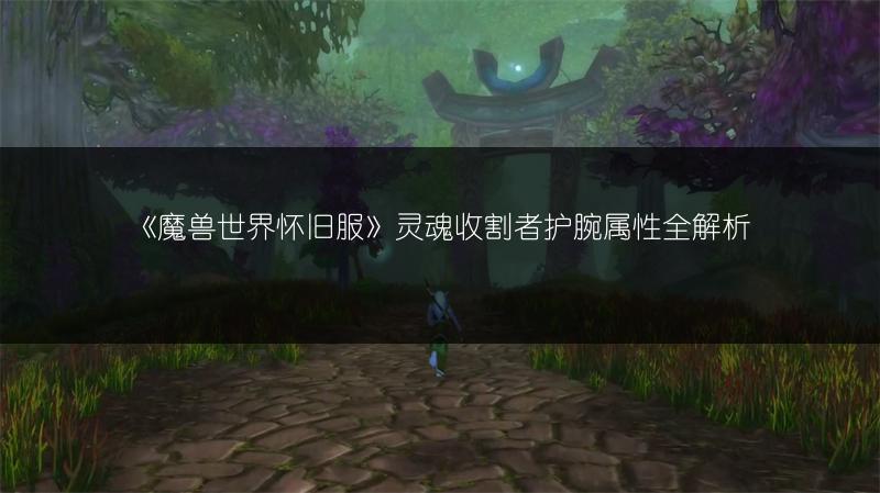 《魔兽世界怀旧服》灵魂收割者护腕属性全解析