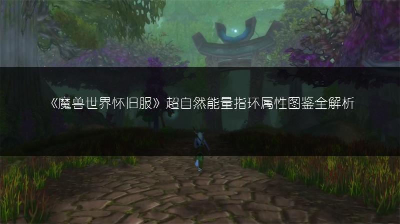 《魔兽世界怀旧服》超自然能量指环属性图鉴全解析