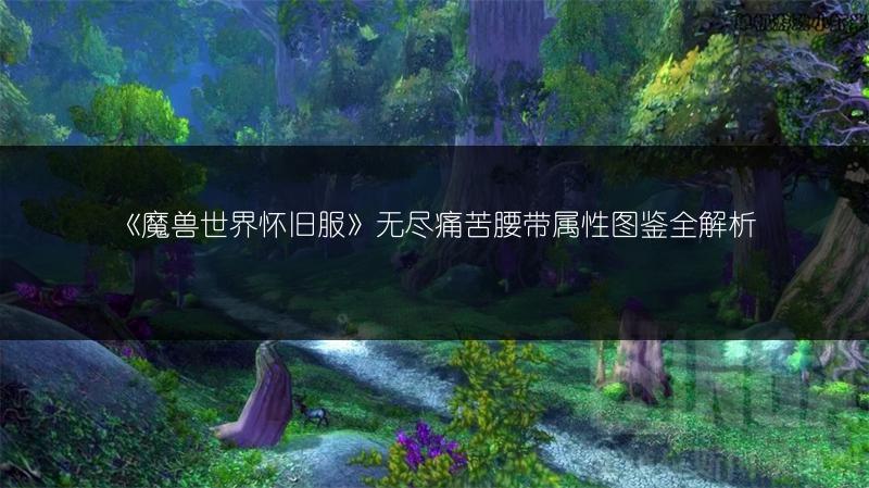 《魔兽世界怀旧服》无尽痛苦腰带属性图鉴全解析