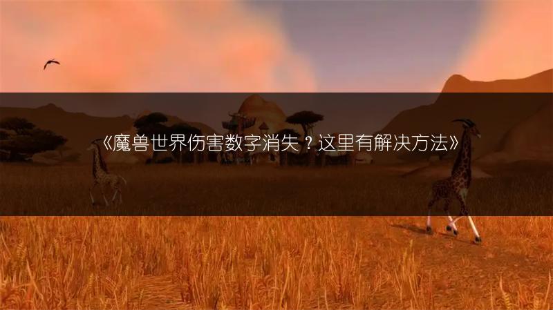 《魔兽世界伤害数字消失?这里有解决方法》