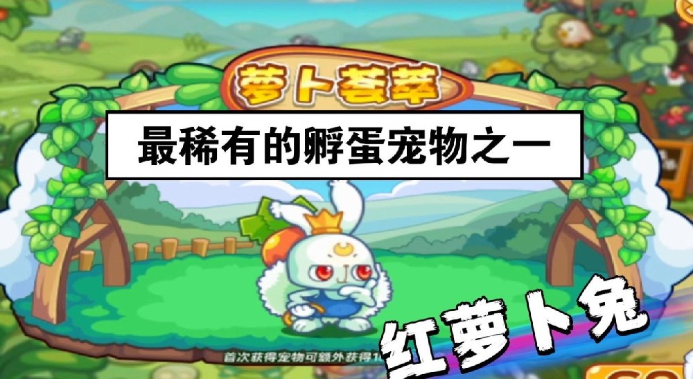 洛克王国红萝卜兔性格选择/遗传毒雾/进化/努力值/亲密度增加